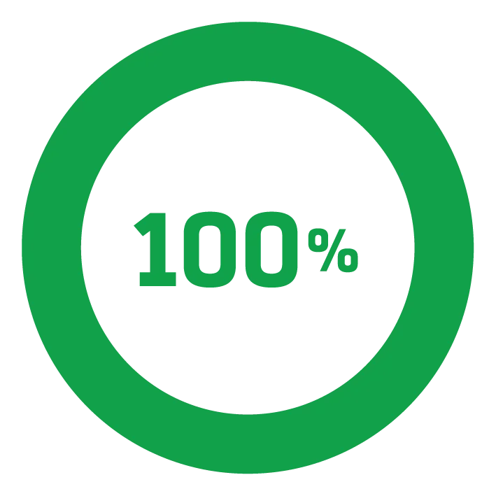 100 procent milieuverantwoordelijkheid icoon